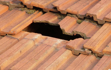 roof repair Billy Row, County Durham